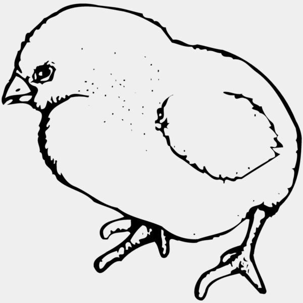 CHICK020 Thumbnail