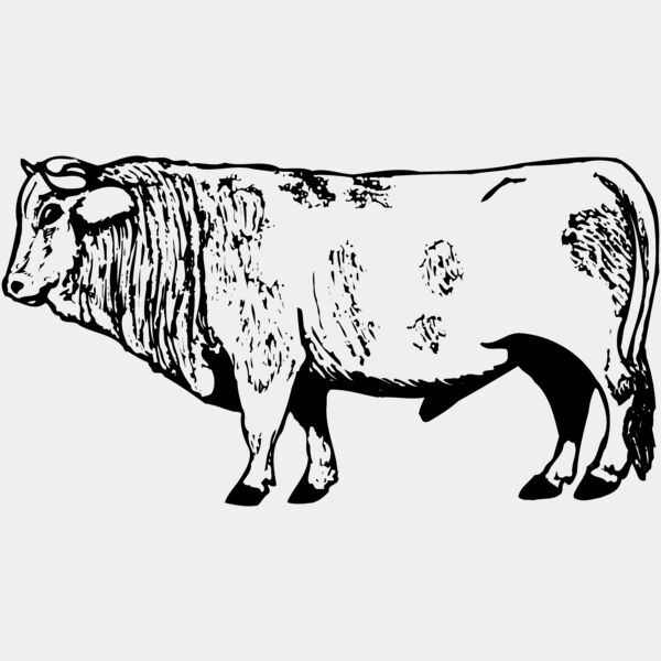 COW014 Thumbnail