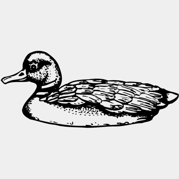 BIRD093 Thumbnail