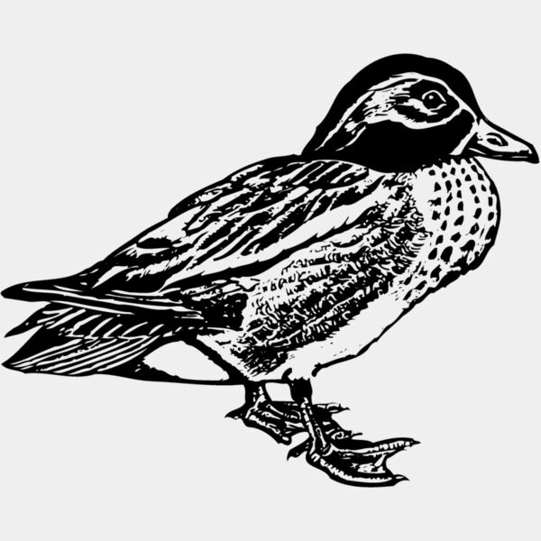 BIRD094 Thumbnail