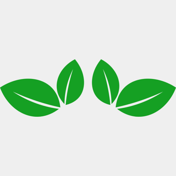11 Leaves Thumbnail