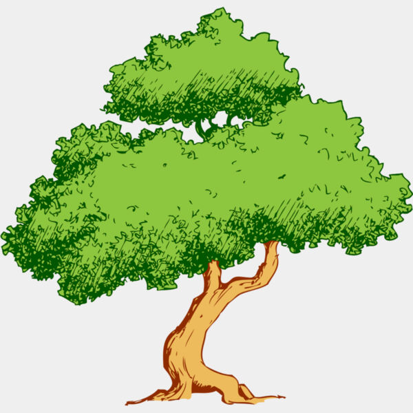 Tree 42 Thumbnail