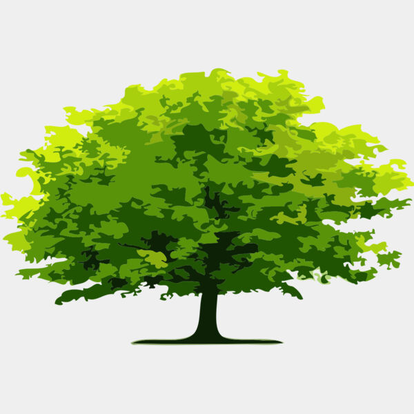 Tree 19 Thumbnail