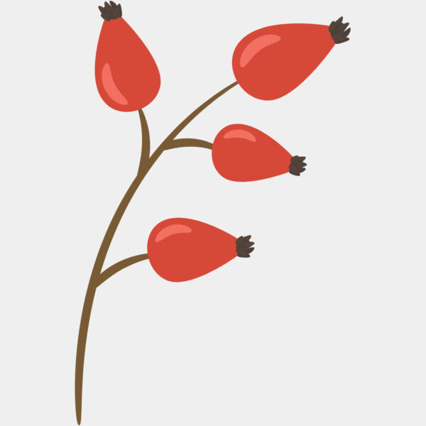 Red Fruit Thumbnail