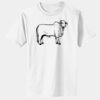 1-DAY RUSH NO MINIMUM  Infant Core Cotton Tee Thumbnail