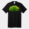 Tall Core Cotton Tee Thumbnail