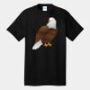 Tall Core Cotton Tee Thumbnail